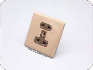 Presa universale 2&a 3 pin