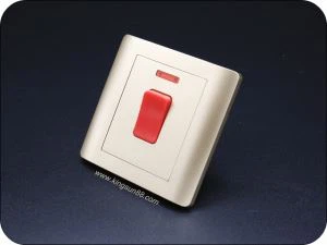 Presa a muro da 20 Amp